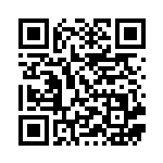 [SV9]U アイリスの闘志（バトルパートナーズ 094/100 トレーナーズ Iレギュ）[SV9094] QRコード