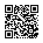 [SV9]AR Nのゾロア（バトルパートナーズ 108/100 Iレギュ）[SV9108] QRコード