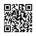 [SV9]SR Nのゾロアークex（バトルパートナーズ 117/100 Iレギュ）[SV9117] QRコード