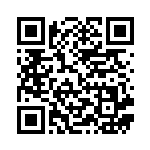 [SV9]SR ホップのザシアンex（バトルパートナーズ 118/100 Iレギュ）[SV9118] QRコード