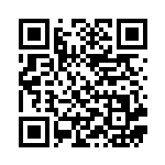 [SV9]SR アイリスの闘志（バトルパートナーズ 121/100 トレーナーズ Iレギュ）[SV9121] QRコード