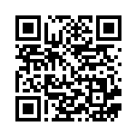 [SV9]SR 怖いお兄さん（バトルパートナーズ 122/100 トレーナーズ Iレギュ）[SV9122] QRコード