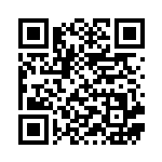 [SV9]UR Nのゾロアークex（バトルパートナーズ 131/100 Iレギュ）[SV9131] QRコード