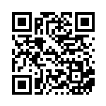 [SV9a]U シロナのパワーウエイト（熱風のアリーナ 060/063 トレーナーズ Iレギュ）[SV9a060] QRコード