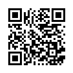 [SVB]ふしぎなアメ（プレミアムトレーナーボックスex 003/028  ）[SVB003] QRコード