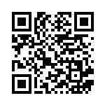 [SVB]キバナ（プレミアムトレーナーボックスex 018/028  ）[SVB018] QRコード