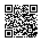 [SVB]ダブルターボエネルギー（プレミアムトレーナーボックスex 028/028  ）[SVB028] QRコード