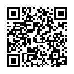 [SVEL]マグマの滝壺（スターターセットテラスタル 020/020  ）[SVEL020] QRコード