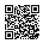 [SVF]ヒスイのヘビーボール（ビルドボックス黒炎の支配者 019/038  ）[SVF019] QRコード