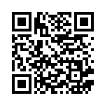 [svG]ナンジャモ（スペシャルデッキセットex 041/049 トレーナーズ サポート ）[svG041] QRコード