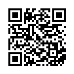 [svhk]ダブルターボエネルギー（ビルドボックス古代 051/053 エネルギー 無 Fレギュ）[svhk051] QRコード