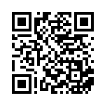 [svhm]ヒスイのヘビーボール（ビルドボックス未来 029/053 トレーナーズ グッズ Fレギュ）[svhm029] QRコード