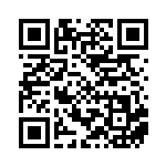 [svhm]マスターボール（ビルドボックス未来 032/053 トレーナーズ グッズ Hレギュ）[svhm032] QRコード