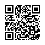 [svI]キリキザン（バトルアカデミー 036/066 悪 1進化 Hレギュ）[svI036] QRコード