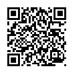 [svI]スーパーボール（バトルアカデミー 052/066 トレーナーズ グッズ Hレギュ）[svI052] QRコード