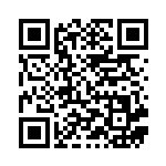 [SVK]イキリンコex（ステラミラクル 012/044 Gレギュ）[SVK012] QRコード