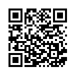 [SVK]大地の器（ステラミラクル 017/044 トレーナーズ Gレギュ）[SVK017] QRコード