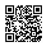 [SVK]ポケモンいれかえ（ステラミラクル 022/044 トレーナーズ Gレギュ）[SVK022] QRコード