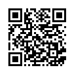 [SVK]勇気のおまもり（ステラミラクル 027/044 トレーナーズ Gレギュ）[SVK027] QRコード