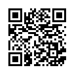 [SVK]ペパー（ステラミラクル 038/044 トレーナーズ Gレギュ）[SVK038] QRコード