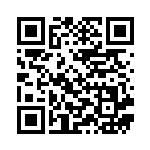 [SVK]ボウルタウン（ステラミラクル 041/044 トレーナーズ Gレギュ）[SVK041] QRコード