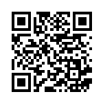 [SVK]ジェットエネルギー（ステラミラクル 042/044 エネルギー Gレギュ）[SVK042] QRコード