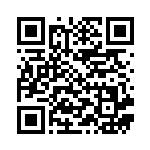 [SVK]ダブルターボエネルギー（ステラミラクル 043/044 エネルギー Fレギュ）[SVK043] QRコード