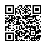 [SVK]ルミナスエネルギー（ステラミラクル 044/044 エネルギー Gレギュ）[SVK044] QRコード