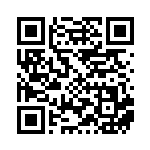 [SVLN]ネストボール（スターターセット 013/022 トレーナーズ Gレギュ）[SVLN013] QRコード