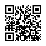 [SVLN]ナンジャモ（スターターセット 019/022 トレーナーズ Gレギュ）[SVLN019] QRコード