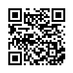 [SVLS]ナンジャモ（スターターセット 019/022 トレーナーズ Gレギュ）[SVLS019] QRコード