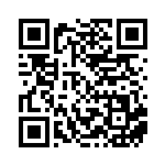 [SVLS]ボスの指令[ゲーチス]（スターターセット 022/022 トレーナーズ Gレギュ）[SVLS022] QRコード