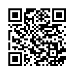 [SVM]ペリッパー（スタートデッキGenerations 033/175 Hレギュ）[SVM033] QRコード