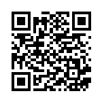 [SVM]オンバーンex（スタートデッキGenerations 113/175 Hレギュ）[SVM113] QRコード