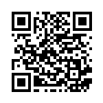 [SVM]ポケモンキャッチャー（スタートデッキGenerations 137/175 トレーナーズ Gレギュ）[SVM137] QRコード