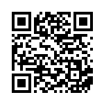 [SVOM]マリィのズルズキン（スターターセットex 004/019  Iレギュ）[SVOM004] QRコード