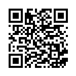 [WAK]ズルズキン（みんなのWAKUWAKUバトル 033/047 悪 ポケモン ）[WAK033] QRコード