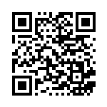 [WAK]ポケモンキャッチャー（みんなのWAKUWAKUバトル 044/047 グッズ トレーナーズ ）[WAK044] QRコード