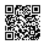 [XY-P]エネルギーつけかえ（プロモ 004/389 トレーナーズ グッズ ）[XY-P004] QRコード