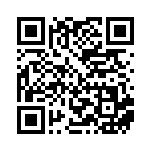 [XY-P]ハンドスコープ（プロモ 027/389 トレーナーズ グッズ ）[XY-P027] QRコード