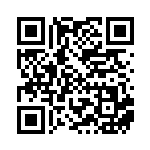 [XY-P]炎のトーチ（プロモ 032/389 トレーナーズ グッズ ）[XY-P032] QRコード