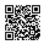 [XY-P]ワルビアルEX（プロモ 044/389 悪 ）[XY-P044] QRコード