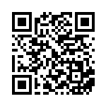 [XY-P]ゲンガーソウルリンク（プロモ 055/389 トレーナーズ グッズ ）[XY-P055] QRコード