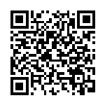 [XY-P]ゲンガーソウルリンク（プロモ 055/389 トレーナーズ グッズ ）[XY-P055] QRコード