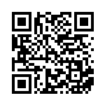 [XY-P]ランドロス（プロモ 060/389 闘 ）[XY-P060] QRコード