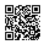 [XY-P]ピカチュウ（プロモ 064/389 雷 ）[XY-P064] QRコード