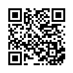 [XY-P]カイリキー（プロモ 067/389 闘 ）[XY-P067] QRコード