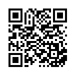 [XY-P]MディアンシーEX（プロモ 093/389 フェアリー ）[XY-P093] QRコード