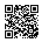 [XY-P]フライゴンEX（プロモ 114/389 竜 ）[XY-P114] QRコード