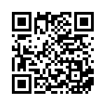 [XY-P]レックウザEX（プロモ 122/389 無 ）[XY-P122] QRコード